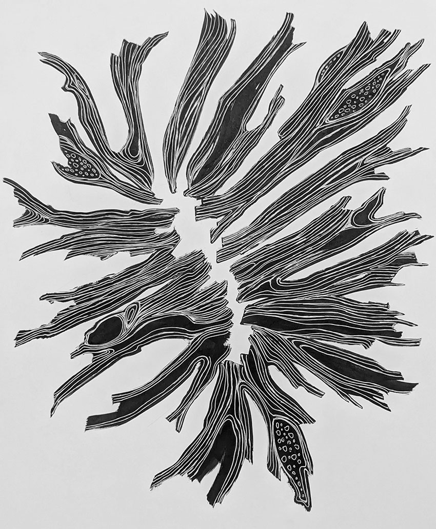 Abstract black and white art by Kimberly MacArthur Graham.