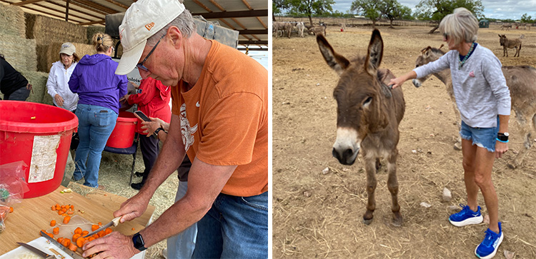 Texas Exes help out at Peaceful Valley Donkey Rescue