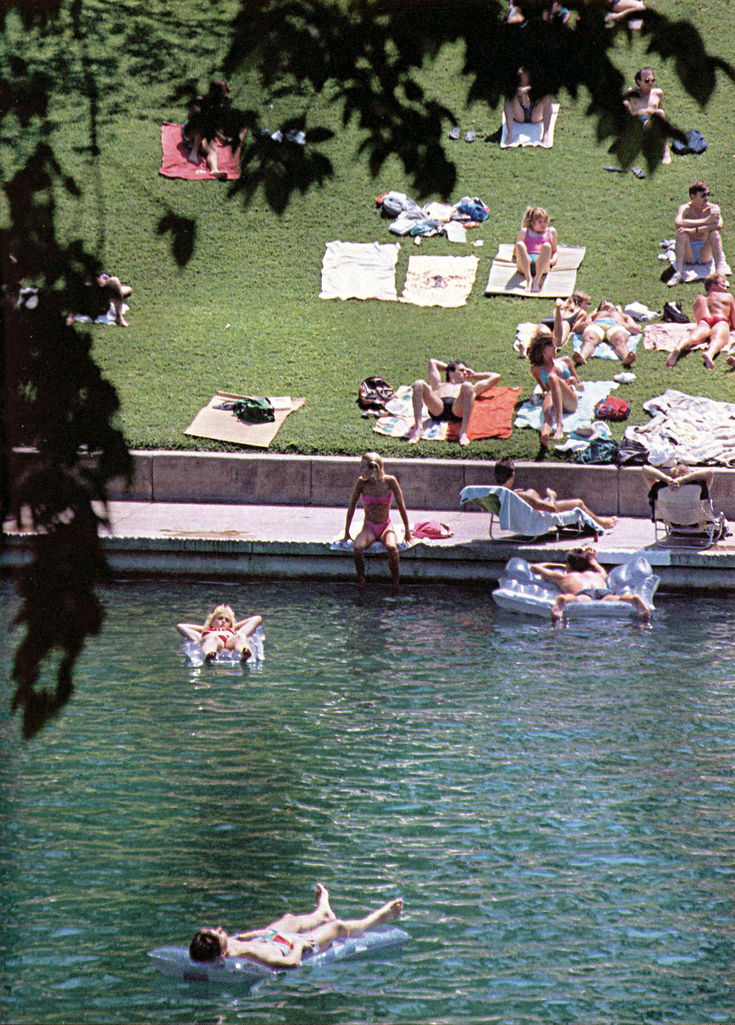 1986-Cactus-Barton-Springs-Web