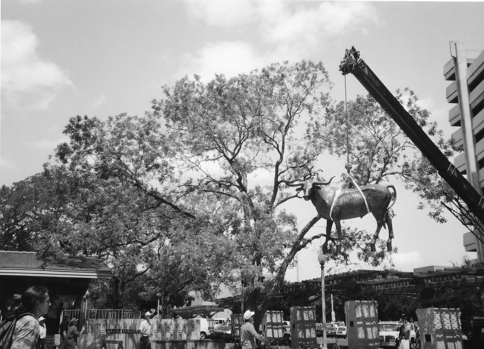 LonghornSculpture24-upres-rev1-flat