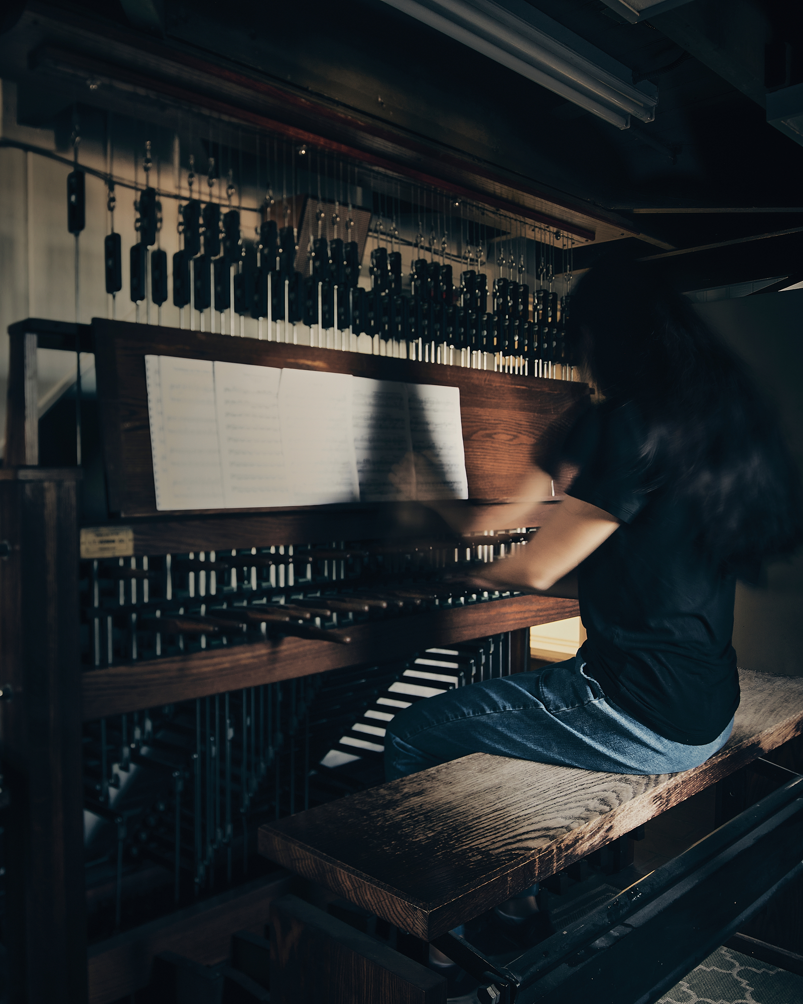 Molei_Carillon-Playing_Hires-1-1