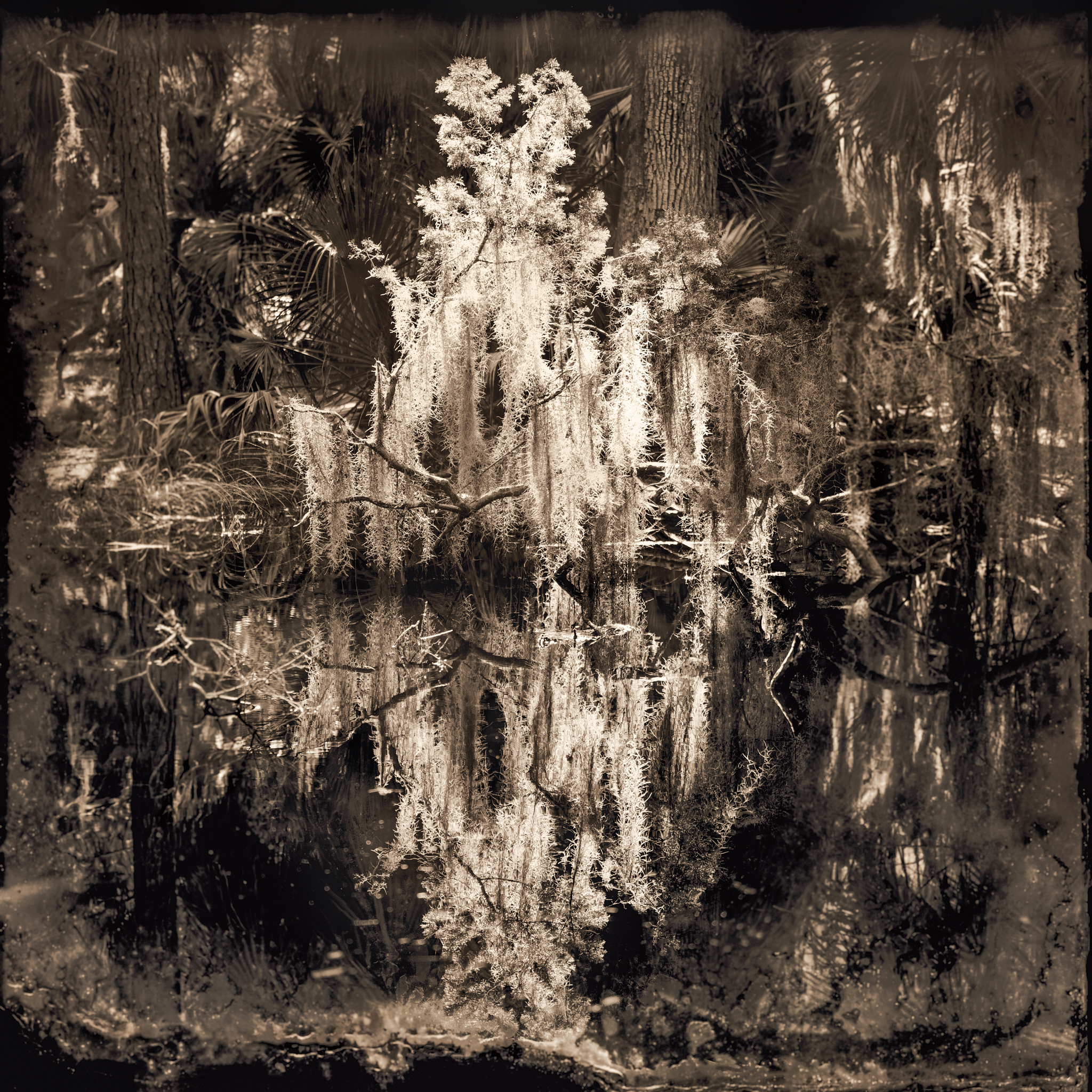 REFLECTION_2019-web