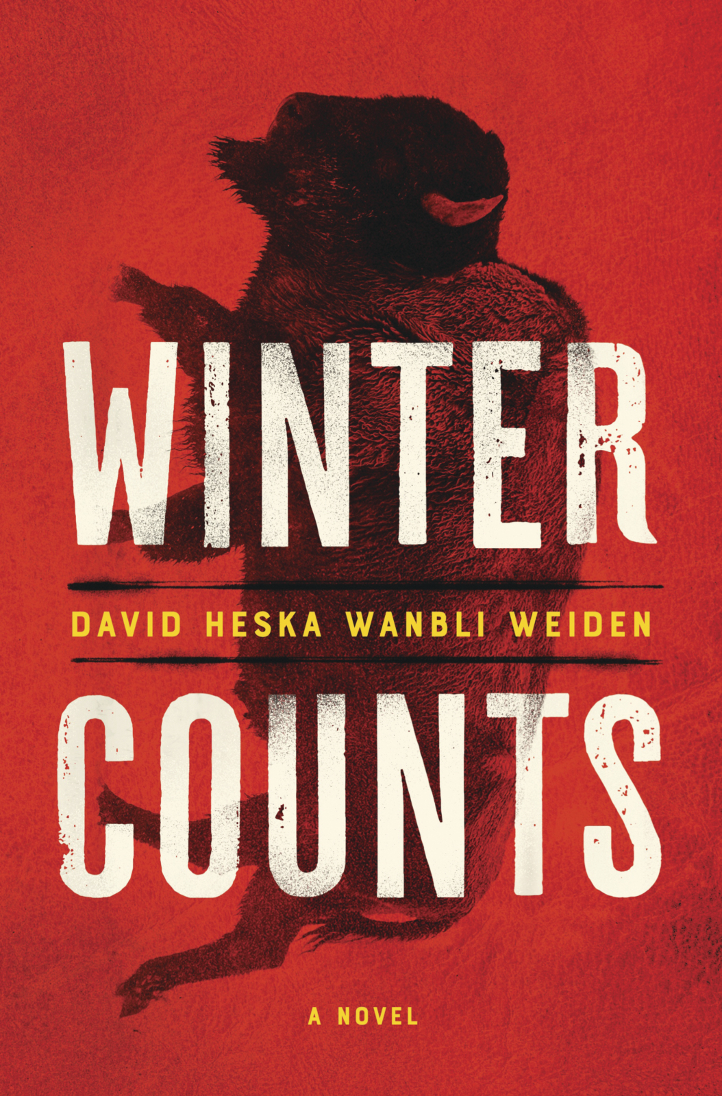 WinterCounts hc c