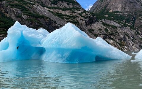 seal-alaska