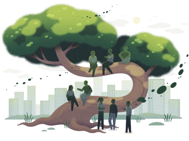 Folks in trees