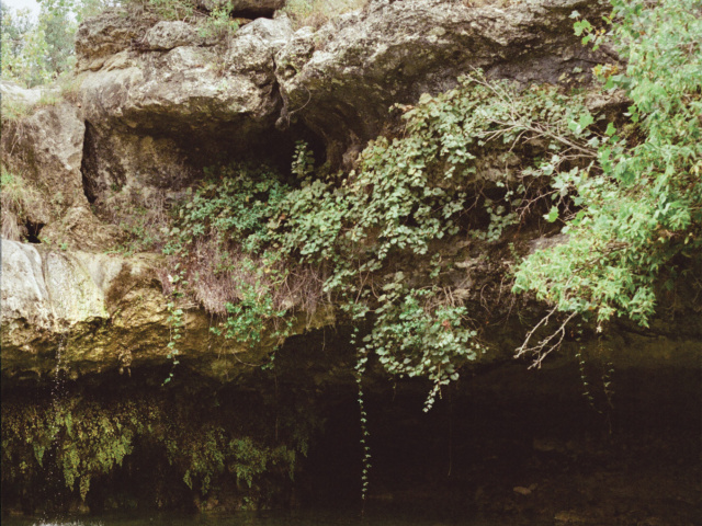 A grotto in the Hill Country. 