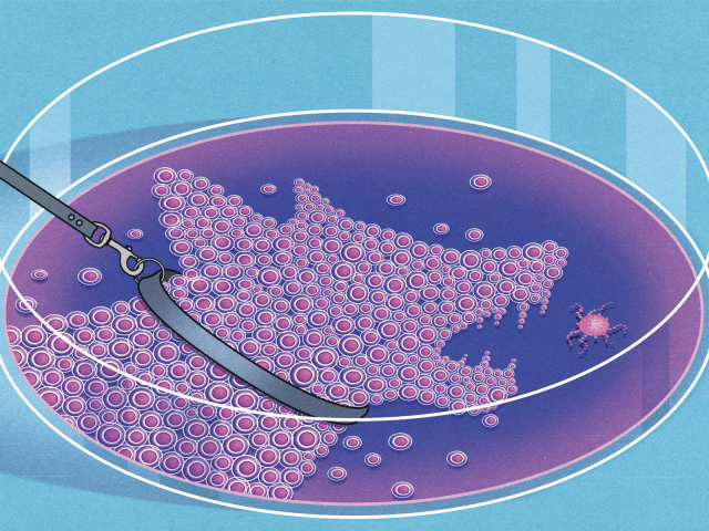 An illustration of a petri dish filled with cells that are gathered in the shape of a dog.