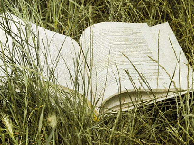 Good Reads [Summer Edition]