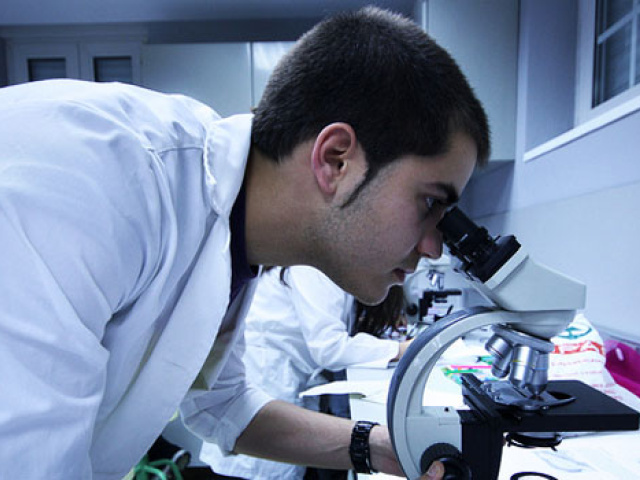 Nearly All UT Students Do Research—and it Pays