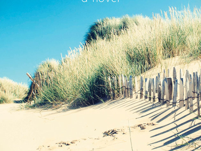 March|April 2016 Alumni Authors