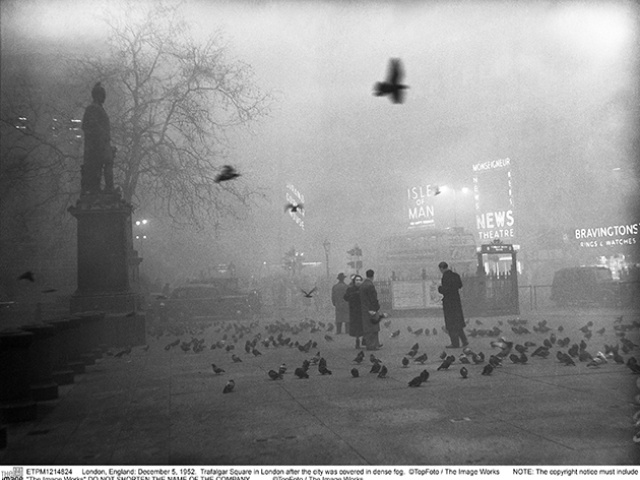 Birds-in-Trafalgar-Square_©TopFoto-The-Image-Works