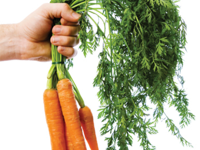 Carrots