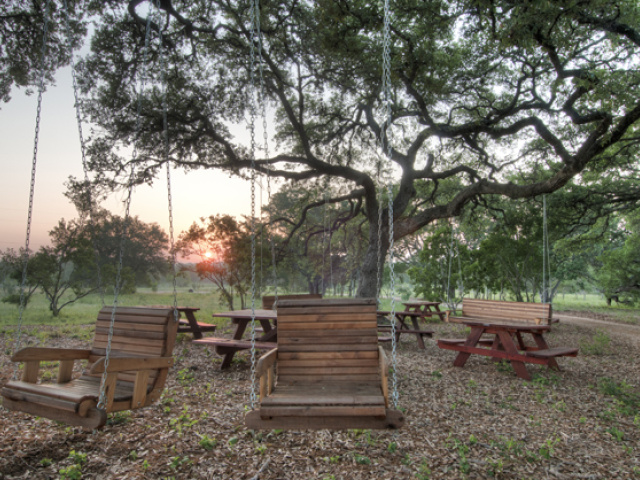 Wildflower Center Opens 16-Acre Texas Plant Arboretum 