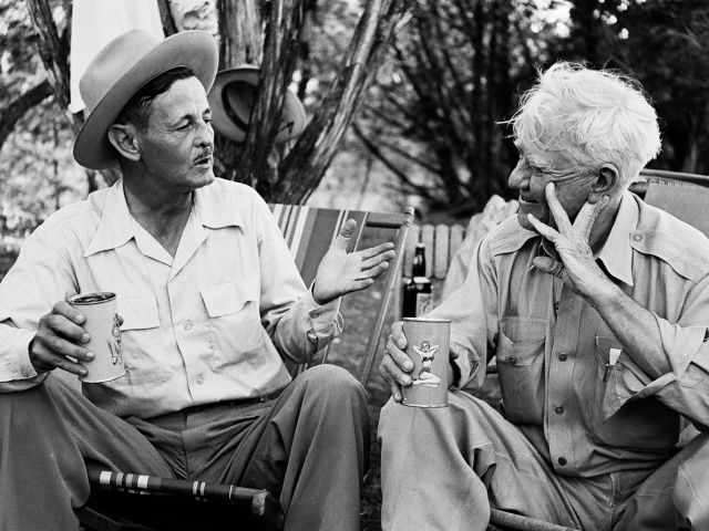Dobie_Stillwell_e_rl_0182_pub-1
