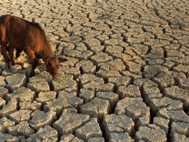 The “D” Word: Drought