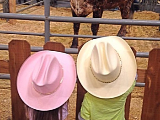 FMlittlecowboys