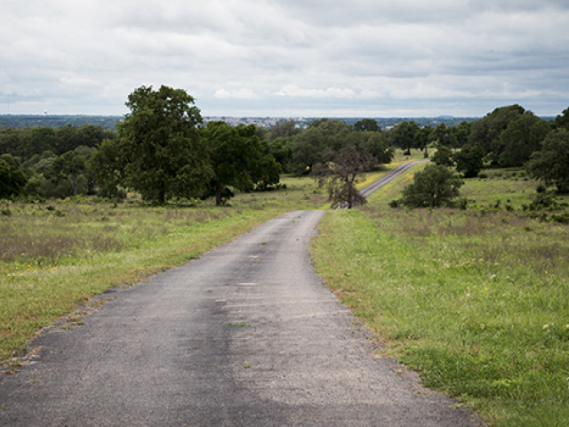 From 40 Acres to 575