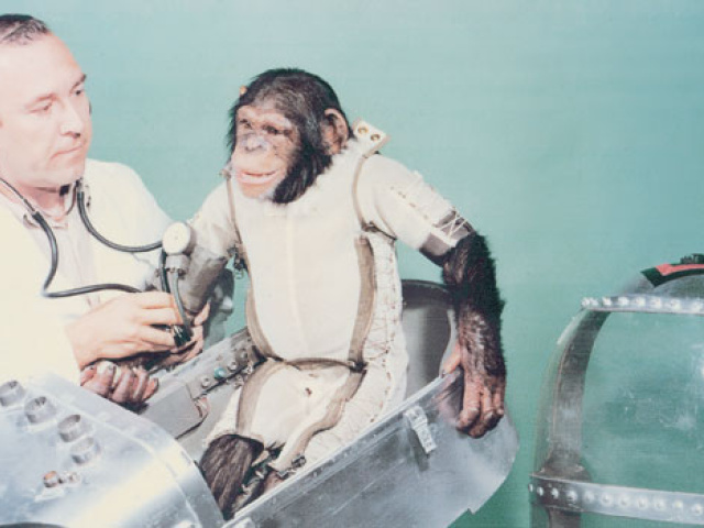 Cold War Monkey Business