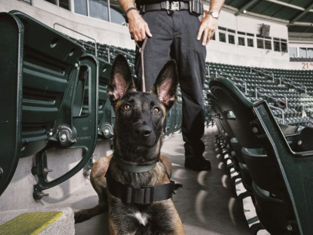 ServiceDog_ALC_071818__MWS0070-Final-SOCIAL