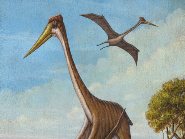 The Miracle of Flight