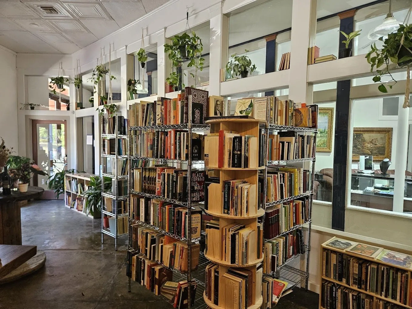 A room filled with wire shelves holding used books and decorated with plants.