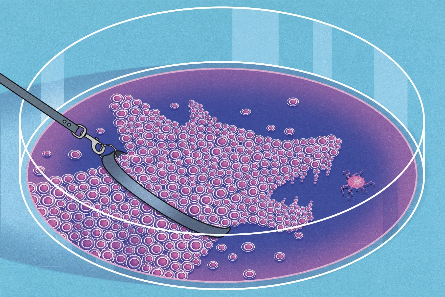 An illustration of a petri dish filled with cells that are gathered in the shape of a dog.