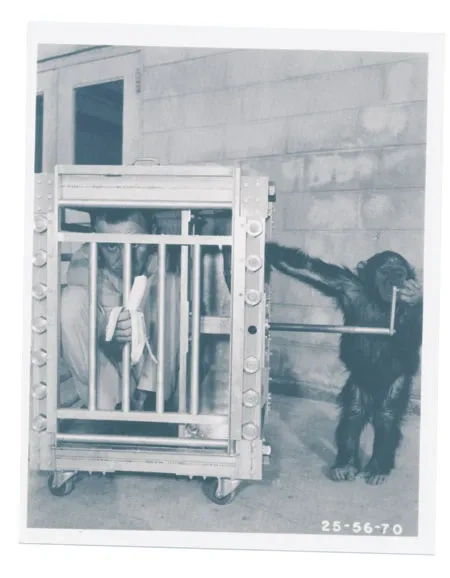 Caged