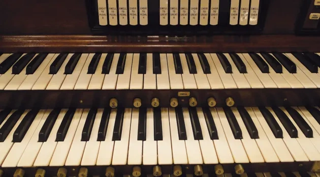 Organ Transplant