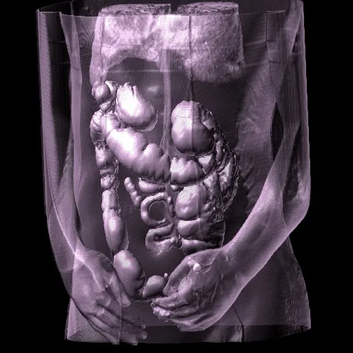 UT Working to Make Better Predictions About the Body and More Using Computer Predictive Models