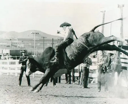LarryO'Neill Bull