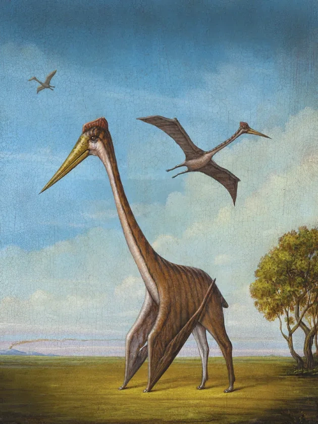 The Miracle of Flight