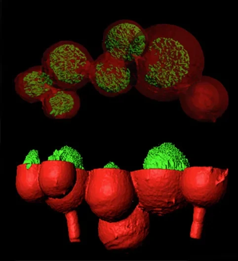 10138513213_c06ea08093_o