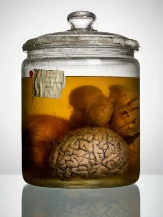 BrainsStudy-009