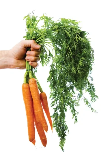 Carrots