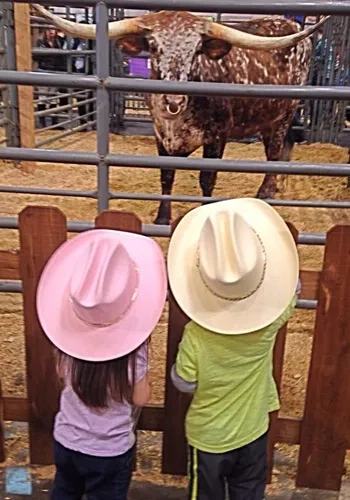 FMlittlecowboys