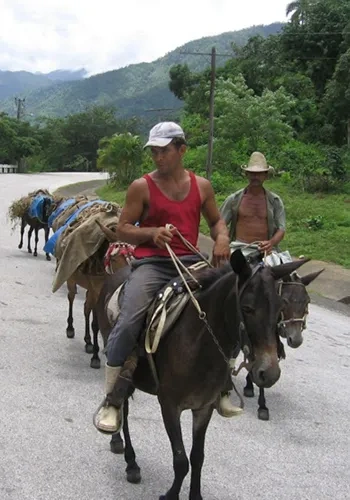 Rural-transport-in-the-Sierra-Maestra-mountains-where-Fidel-Castro-fought-as-a-guerrilla-leader