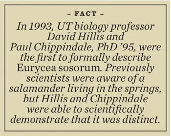 Salamander Fact