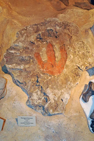 Dinosaur Track