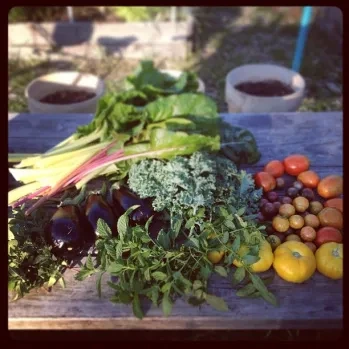 farm-stand