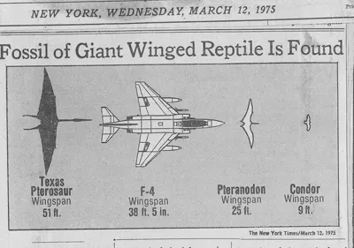 newspaper