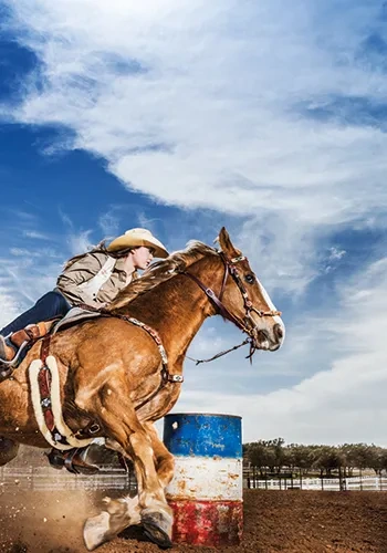 rodeo