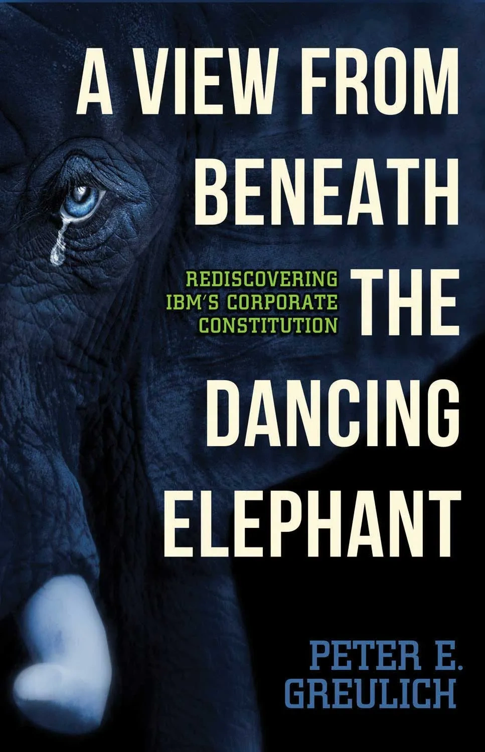 A-View-from-Beneath-the-Dancing-Elephant---Front-Cover