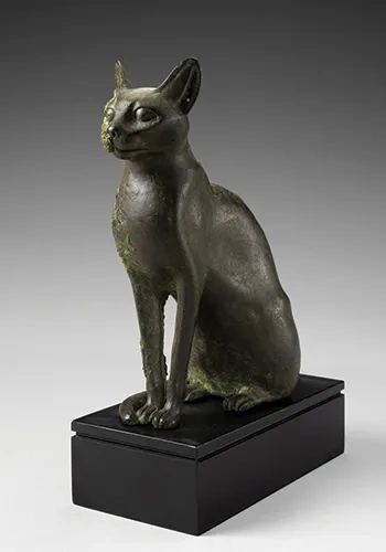 Egyptian Cat