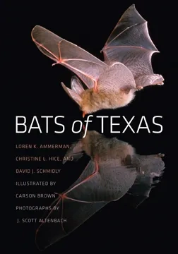 RGBBatsofTexas
