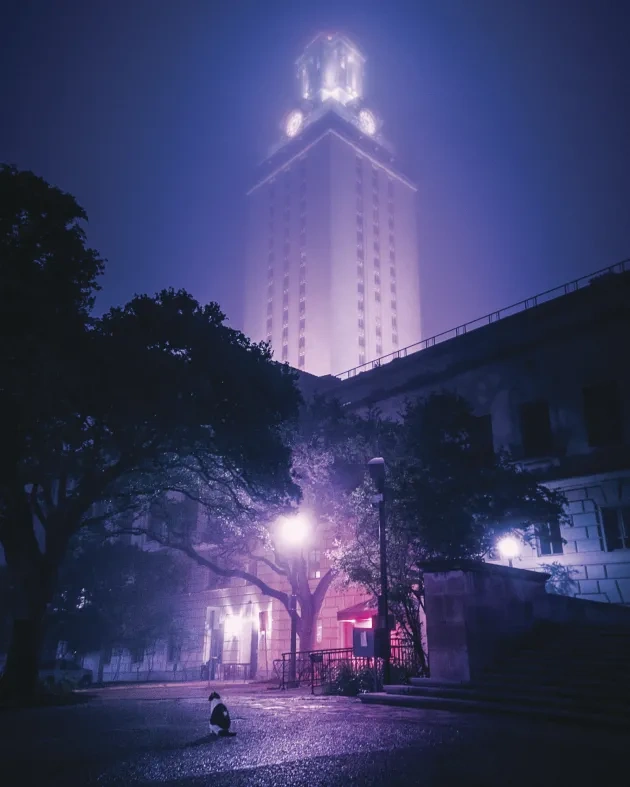 domino_in_the_fog-color (1)