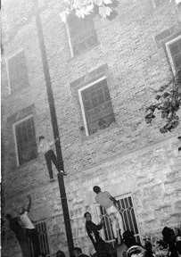 image003