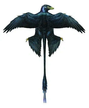 Modern Lessons From an Ancient Bird