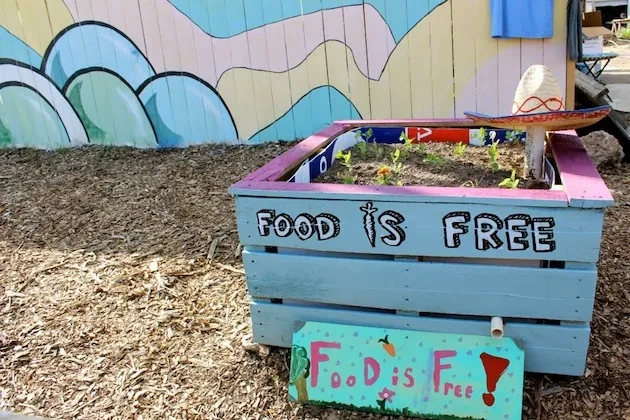 Can Food Be Free? 