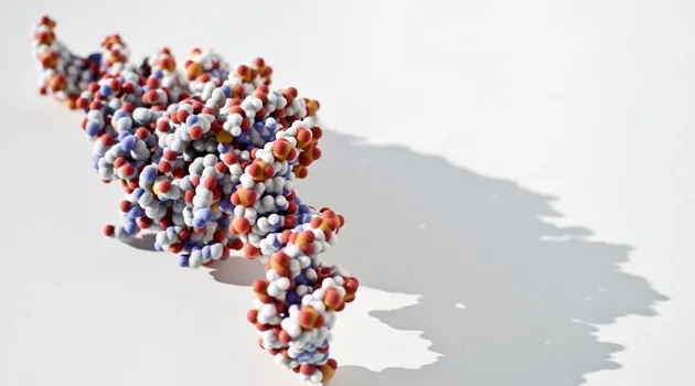 Molecular Matchmaking for Drug Discovery