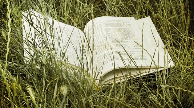 Good Reads [Summer Edition]